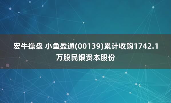 宏牛操盘 小鱼盈通(00139)累计收购1742.1万股民银资本股份