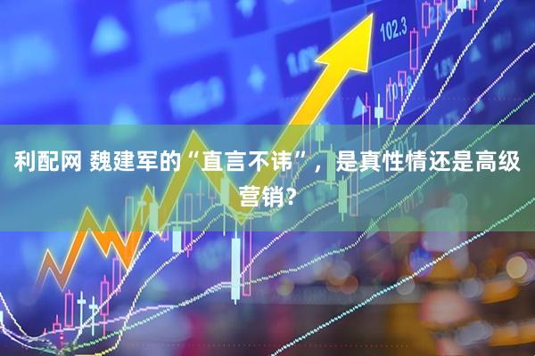 利配网 魏建军的“直言不讳”，是真性情还是高级营销？