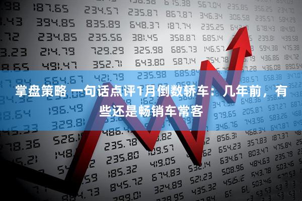 掌盘策略 一句话点评1月倒数轿车：几年前，有些还是畅销车常客