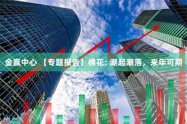 金赢中心 【专题报告】棉花: 潮起潮落，来年可期