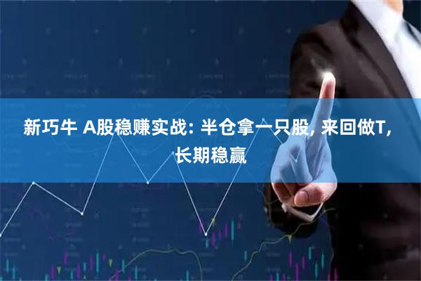 新巧牛 A股稳赚实战: 半仓拿一只股, 来回做T, 长期稳赢