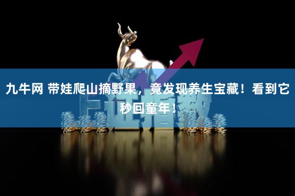 九牛网 带娃爬山摘野果，竟发现养生宝藏！看到它秒回童年！