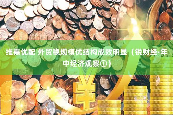 维嘉优配 外贸稳规模优结构成效明显（锐财经·年中经济观察①）