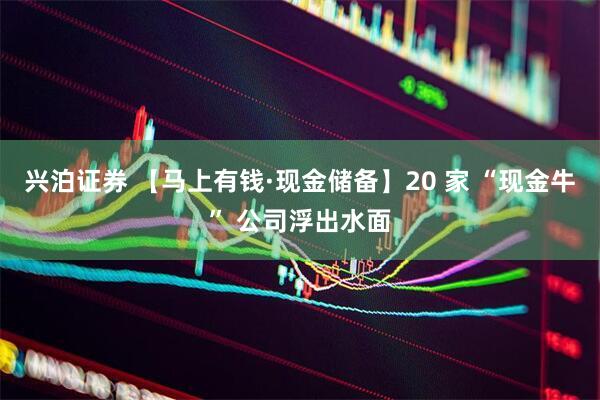 兴泊证券 【马上有钱·现金储备】20 家 “现金牛” 公司浮出水面