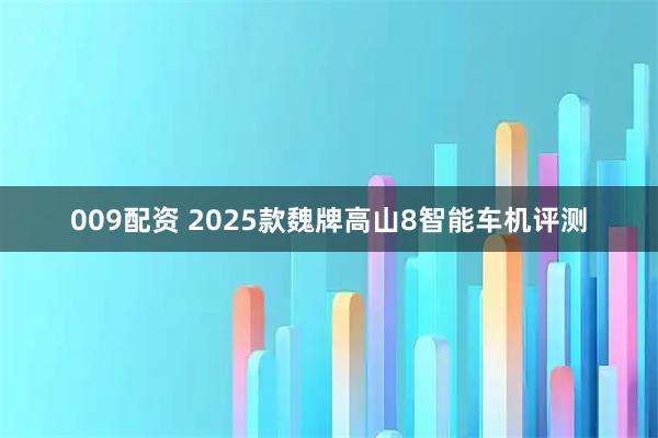 009配资 2025款魏牌高山8智能车机评测