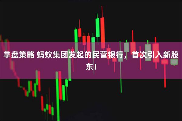 掌盘策略 蚂蚁集团发起的民营银行,首次引入新股东!