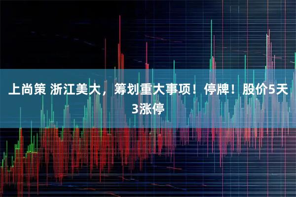 上尚策 浙江美大，筹划重大事项！停牌！股价5天3涨停