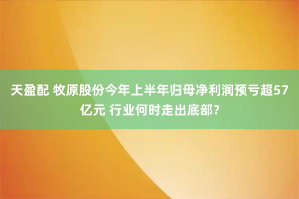 天盈配 牧原股份今年上半年归母净利润预亏超57亿元 行业何时走出底部？