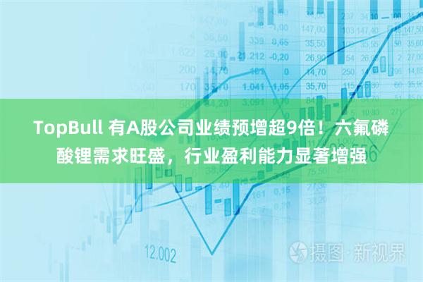 TopBull 有A股公司业绩预增超9倍！六氟磷酸锂需求旺盛，行业盈利能力显著增强