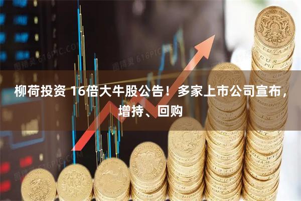 柳荷投资 16倍大牛股公告！多家上市公司宣布，增持、回购